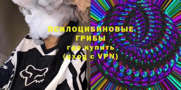 ешки Алзамай