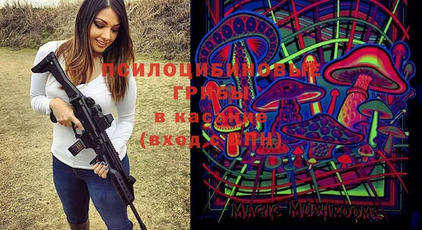 ешки Алзамай